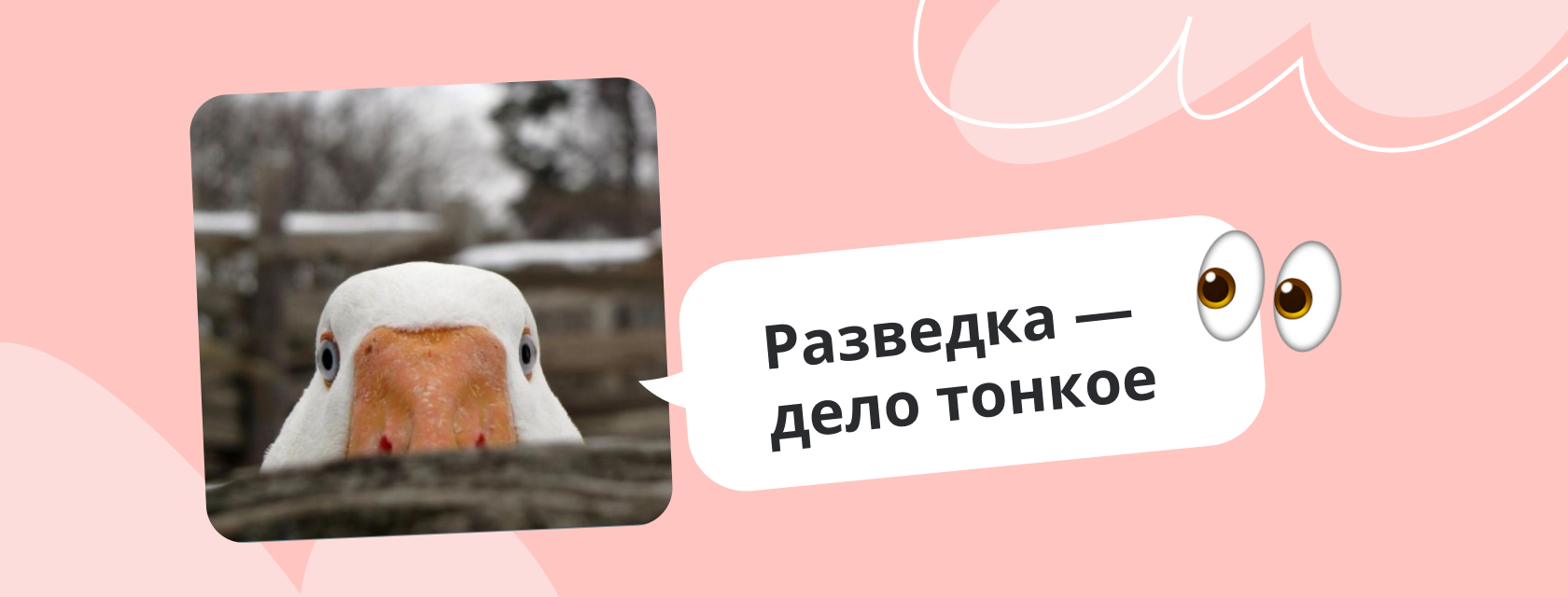 каких конкурентов анализировать